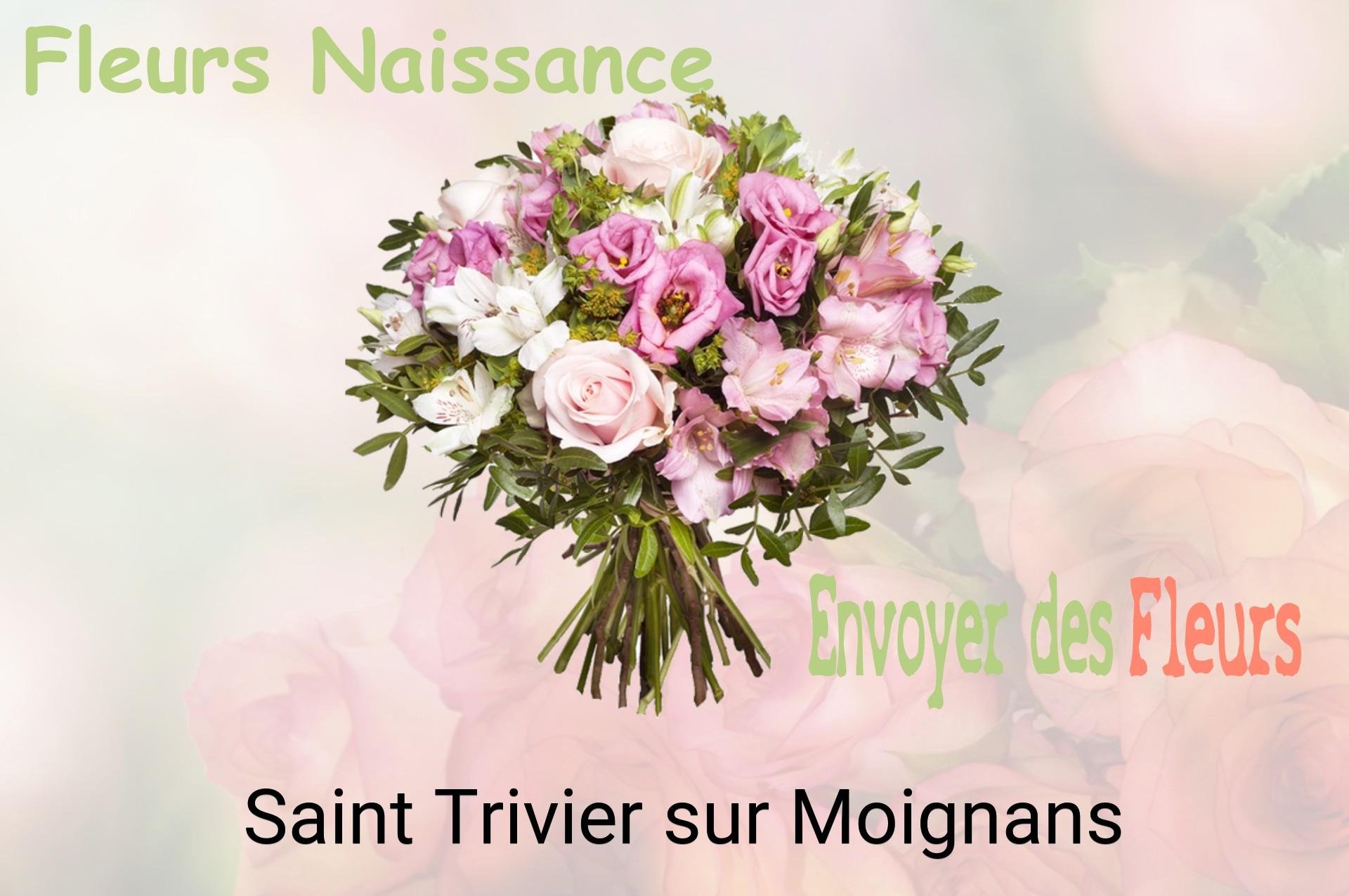 Bouquet de fleurs de naissance livré à Saint-Trivier-sur-Moignans